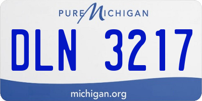 MI license plate DLN3217