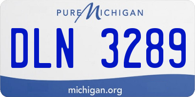 MI license plate DLN3289