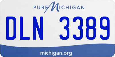 MI license plate DLN3389