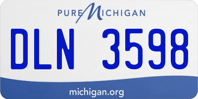 MI license plate DLN3598