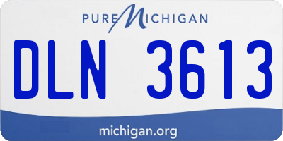 MI license plate DLN3613