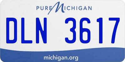 MI license plate DLN3617