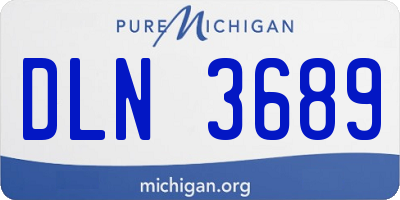 MI license plate DLN3689