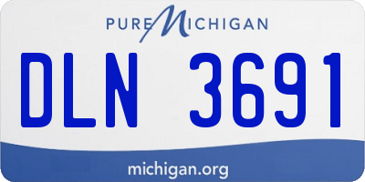 MI license plate DLN3691