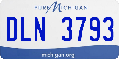 MI license plate DLN3793