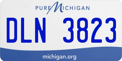 MI license plate DLN3823