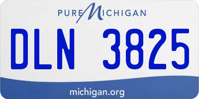 MI license plate DLN3825