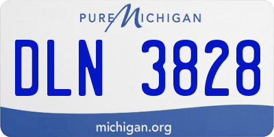 MI license plate DLN3828