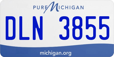 MI license plate DLN3855