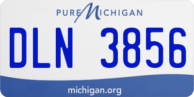 MI license plate DLN3856