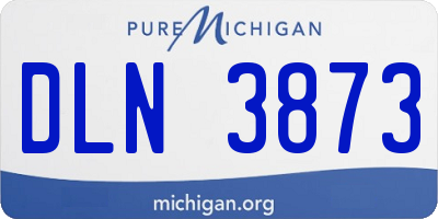 MI license plate DLN3873