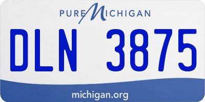 MI license plate DLN3875