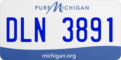 MI license plate DLN3891
