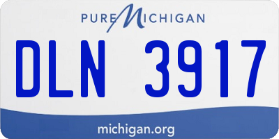 MI license plate DLN3917
