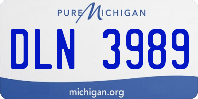 MI license plate DLN3989