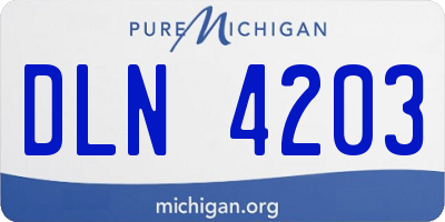 MI license plate DLN4203