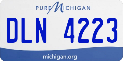 MI license plate DLN4223