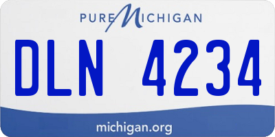 MI license plate DLN4234