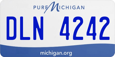 MI license plate DLN4242