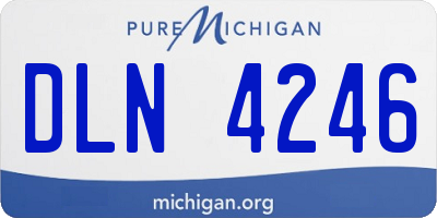 MI license plate DLN4246