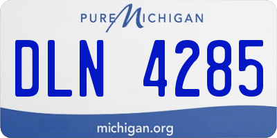 MI license plate DLN4285