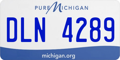 MI license plate DLN4289