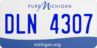 MI license plate DLN4307