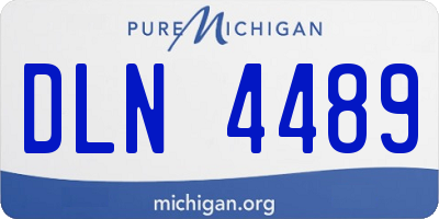 MI license plate DLN4489