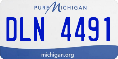 MI license plate DLN4491