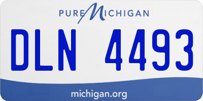 MI license plate DLN4493