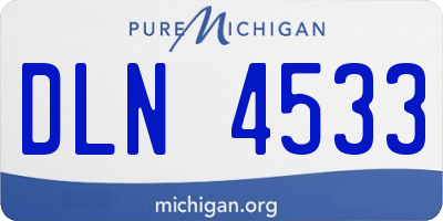 MI license plate DLN4533