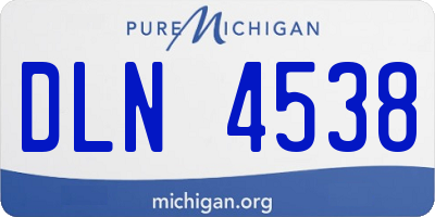 MI license plate DLN4538