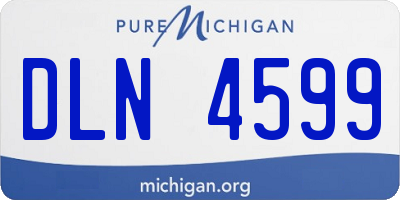 MI license plate DLN4599