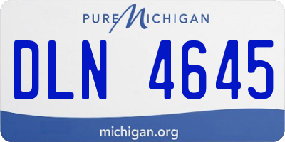 MI license plate DLN4645