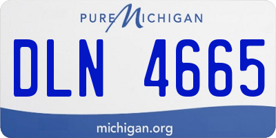 MI license plate DLN4665