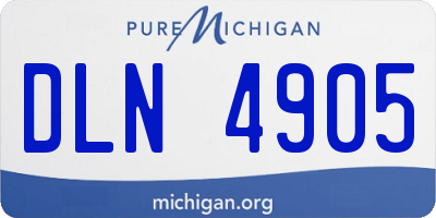 MI license plate DLN4905