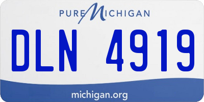 MI license plate DLN4919