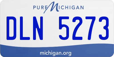 MI license plate DLN5273