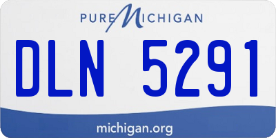 MI license plate DLN5291