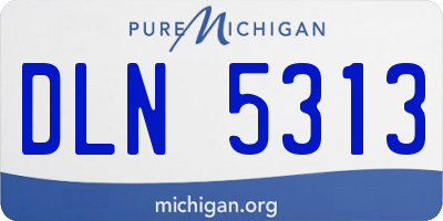 MI license plate DLN5313