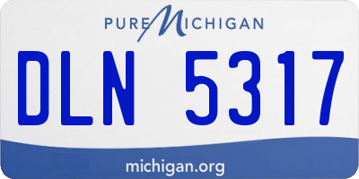 MI license plate DLN5317