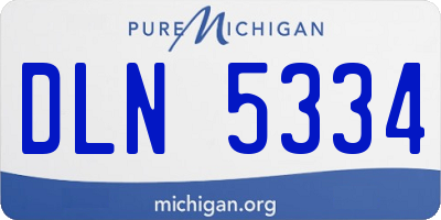 MI license plate DLN5334