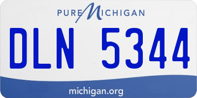 MI license plate DLN5344