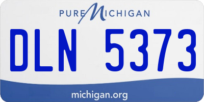 MI license plate DLN5373