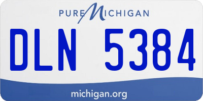 MI license plate DLN5384