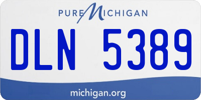 MI license plate DLN5389