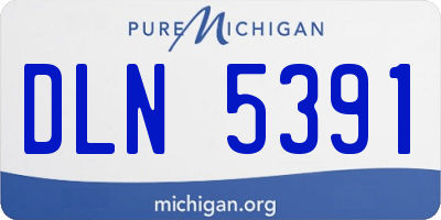 MI license plate DLN5391