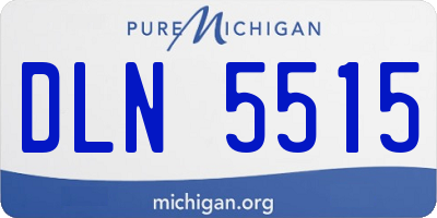 MI license plate DLN5515