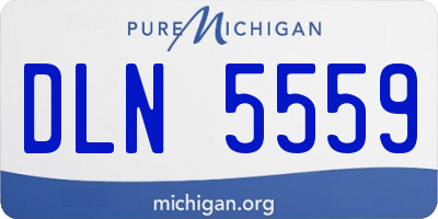 MI license plate DLN5559