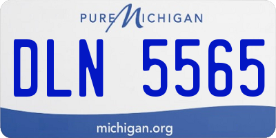 MI license plate DLN5565